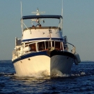 Ncert Solutions Class 10th Amanda Cell, Used Small Cabin Boats For Sale 08, Aluminum Boat Trailer Spring Hanger Zip