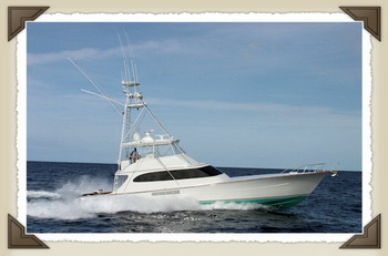 Rent Your Boat Puerto Rico Malaysia, Build Your Own Boat Cover Support 4d